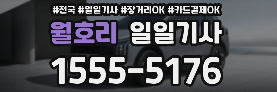 월호리 일일기사