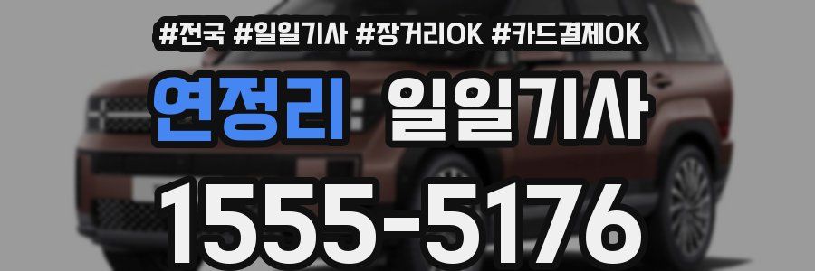 연정리 일일기사