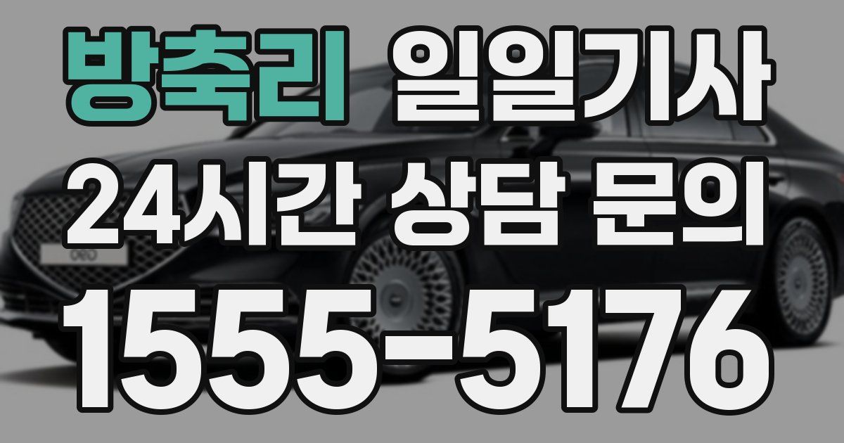 일일대리기사
