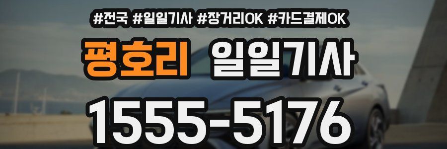 평호리 일일기사