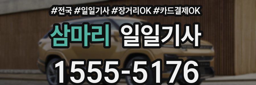 삼마리 일일기사