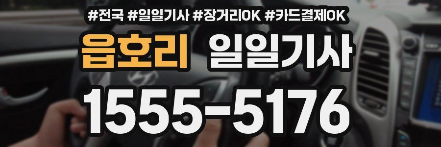 읍호리 일일기사