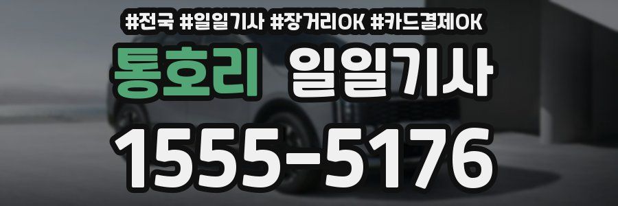 통호리 일일기사