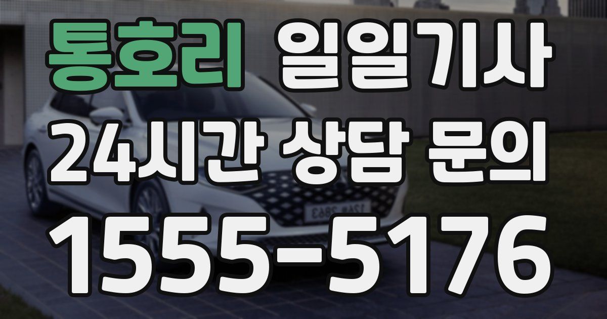 일일대리기사
