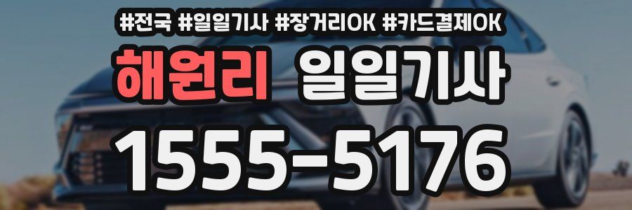 해원리 일일기사