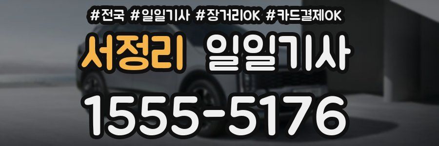 서정리 일일기사