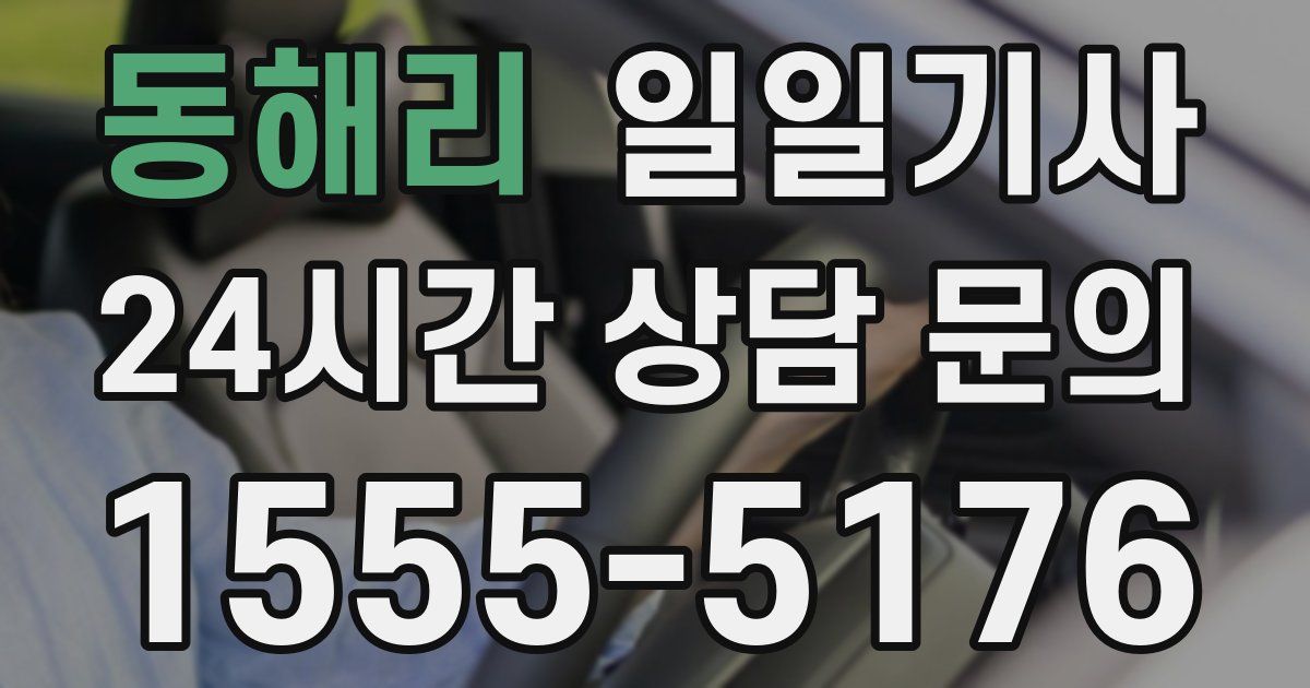 일일대리기사
