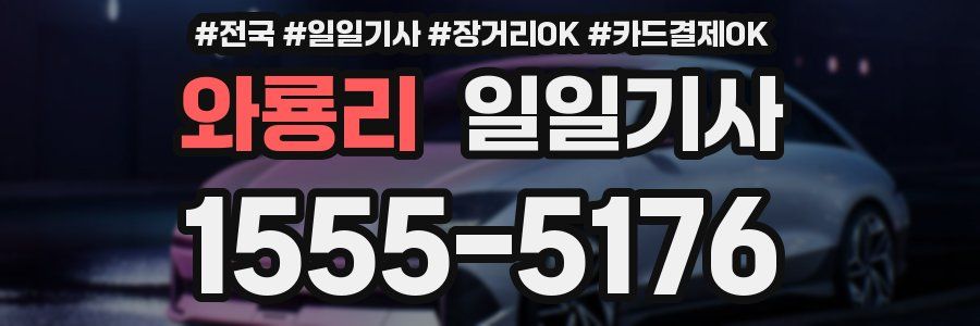 와룡리 일일기사