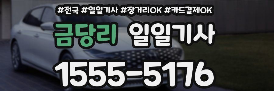 금당리 일일기사