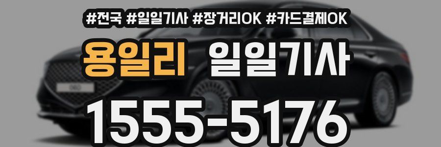 용일리 일일기사