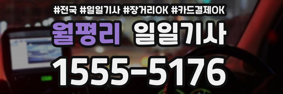 월평리 일일기사