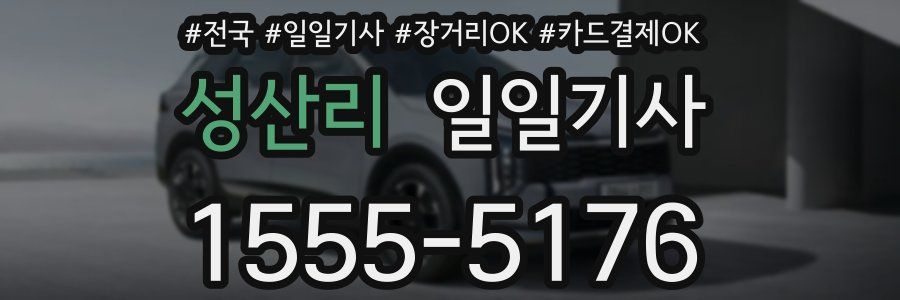 성산리 일일기사