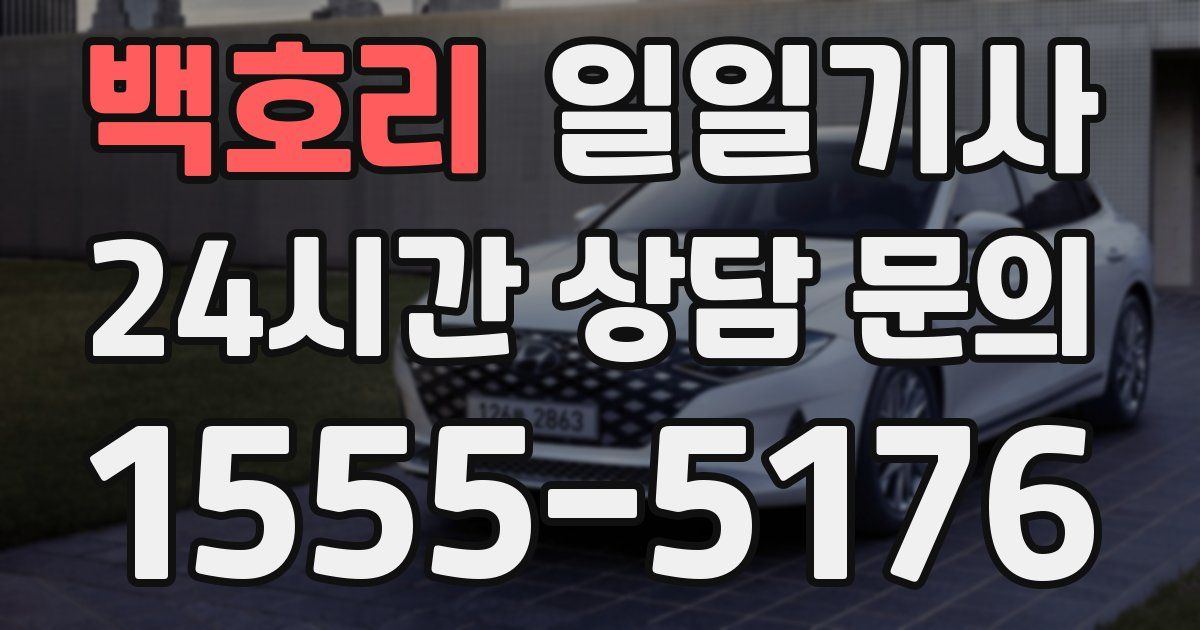 일일대리기사