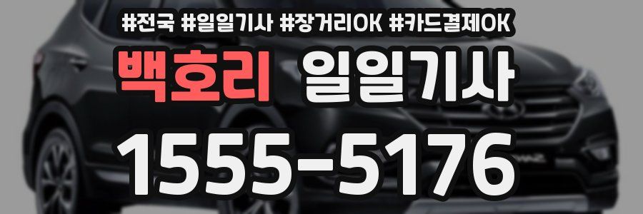백호리 일일기사