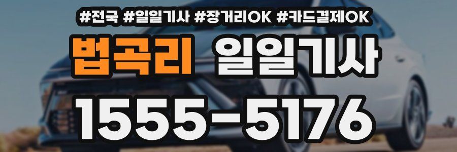 법곡리 일일기사