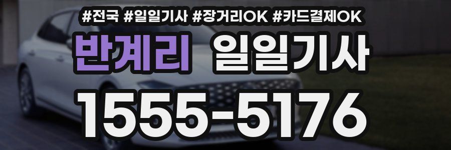 반계리 일일기사