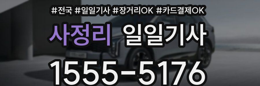 사정리 일일기사