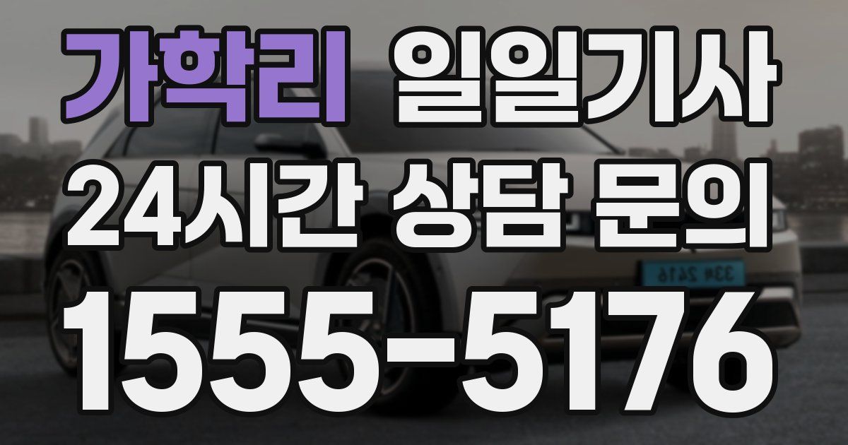 일일대리기사