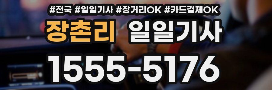 장촌리 일일기사