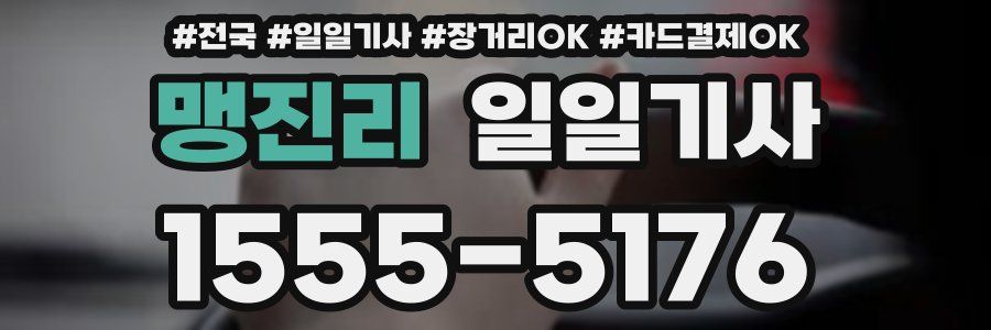 맹진리 일일기사