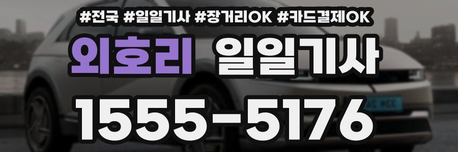 외호리 일일기사