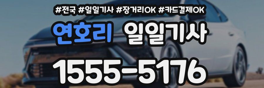 연호리 일일기사