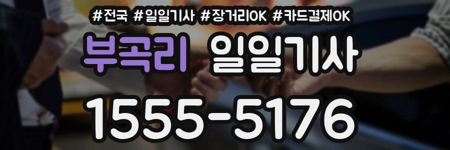 부곡리 일일기사