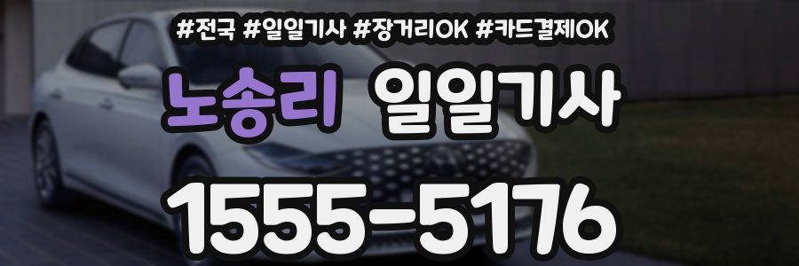 노송리 일일기사