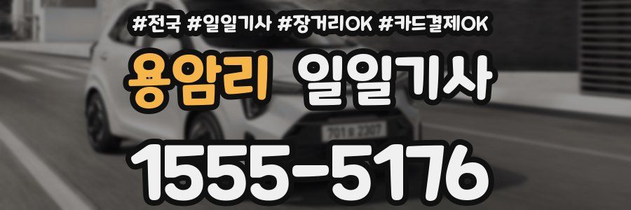 용암리 일일기사