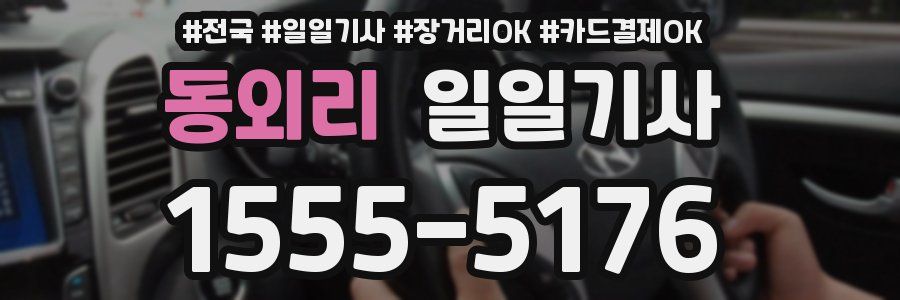 동외리 일일기사