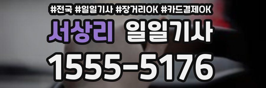 서상리 일일기사