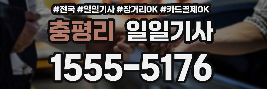 충평리 일일기사