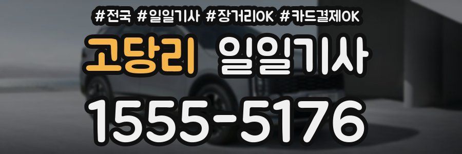 고당리 일일기사