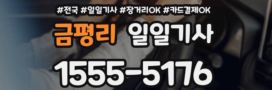 금평리 일일기사