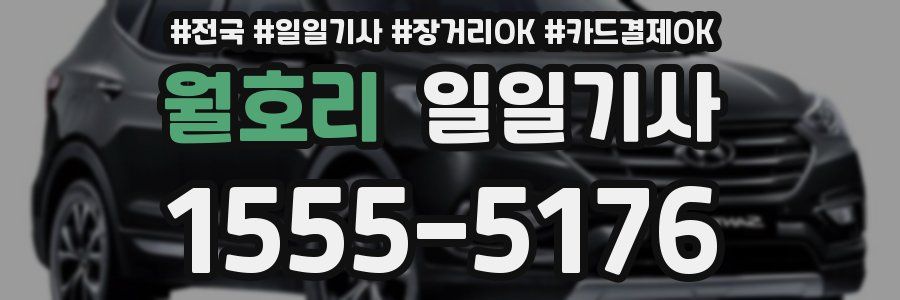 월호리 일일기사