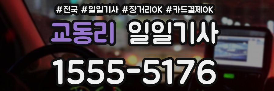 교동리 일일기사