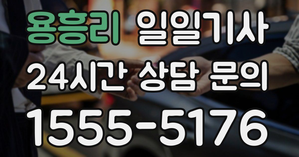 일일대리기사