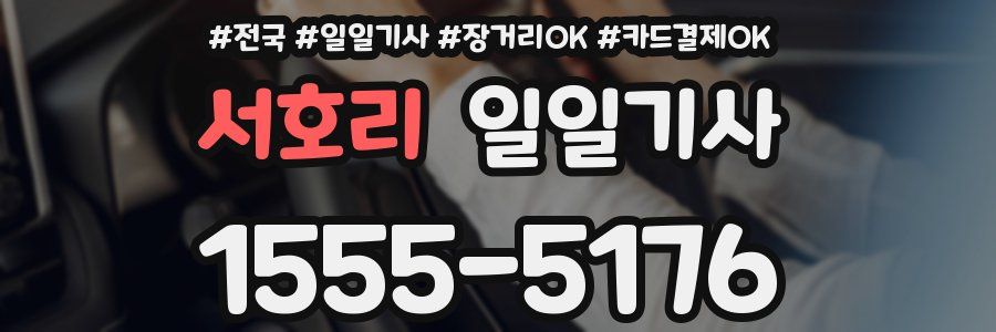 서호리 일일기사