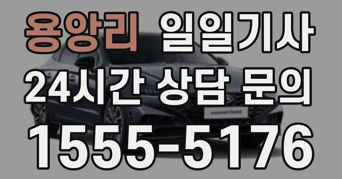 일일대리기사