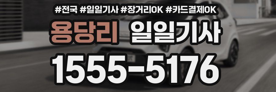 용당리 일일기사