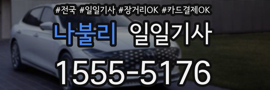 나불리 일일기사