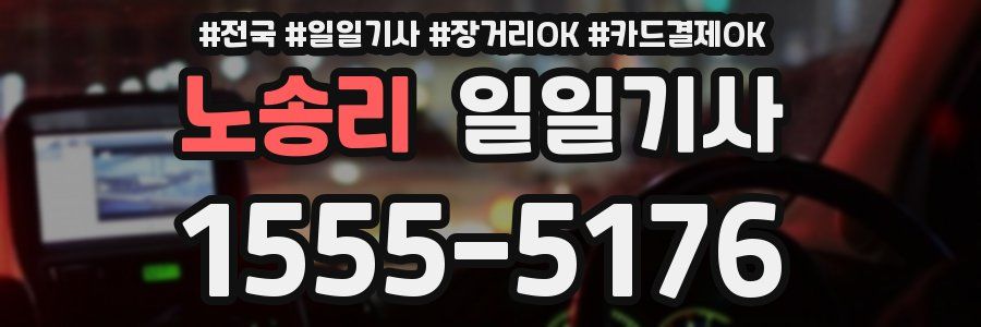 노송리 일일기사