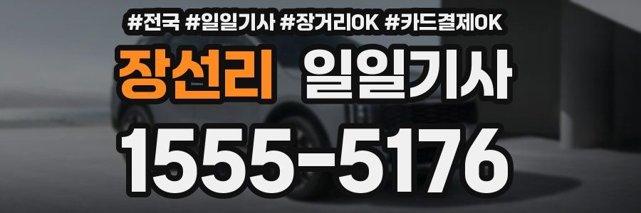 장선리 일일기사