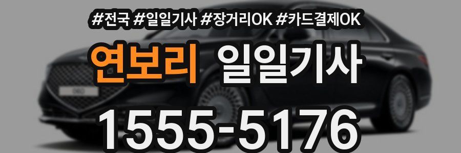 연보리 일일기사