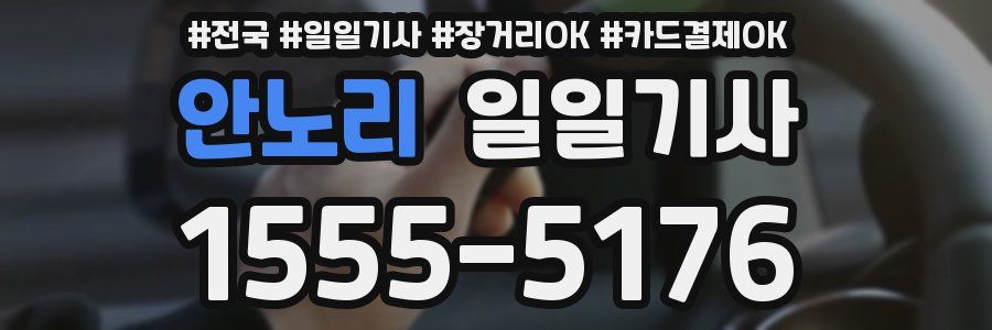 안노리 일일기사