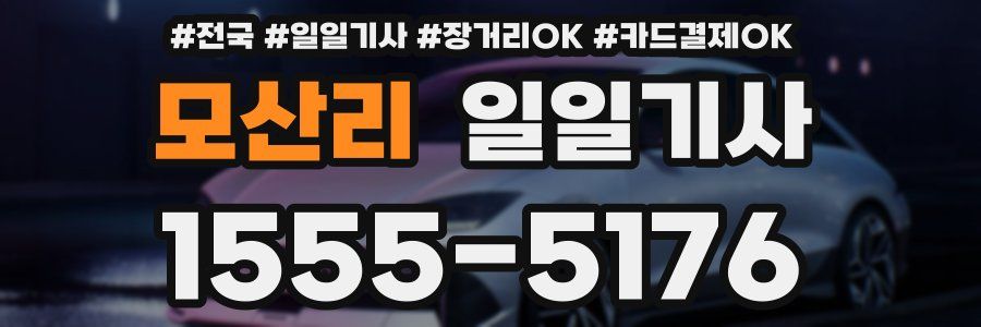 모산리 일일기사