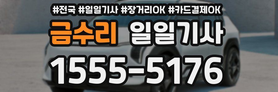 금수리 일일기사