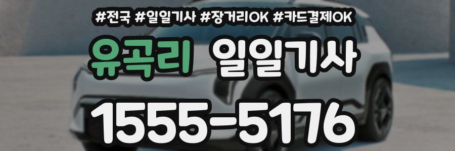 유곡리 일일기사