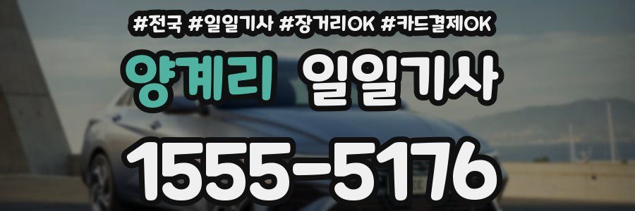 양계리 일일기사