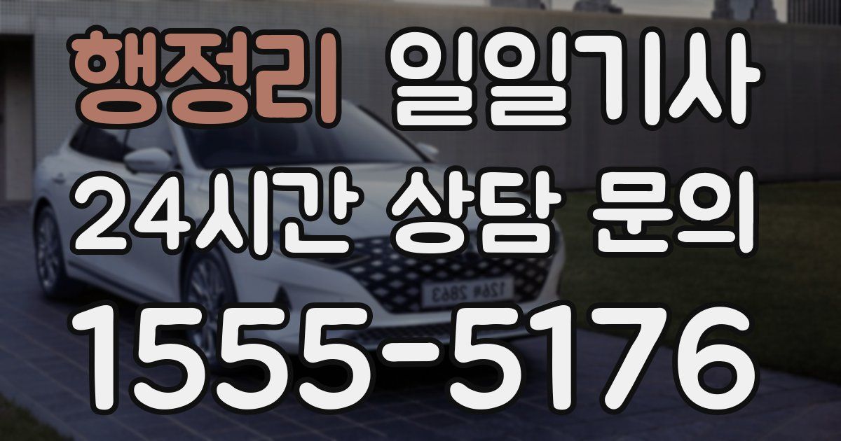 일일대리기사